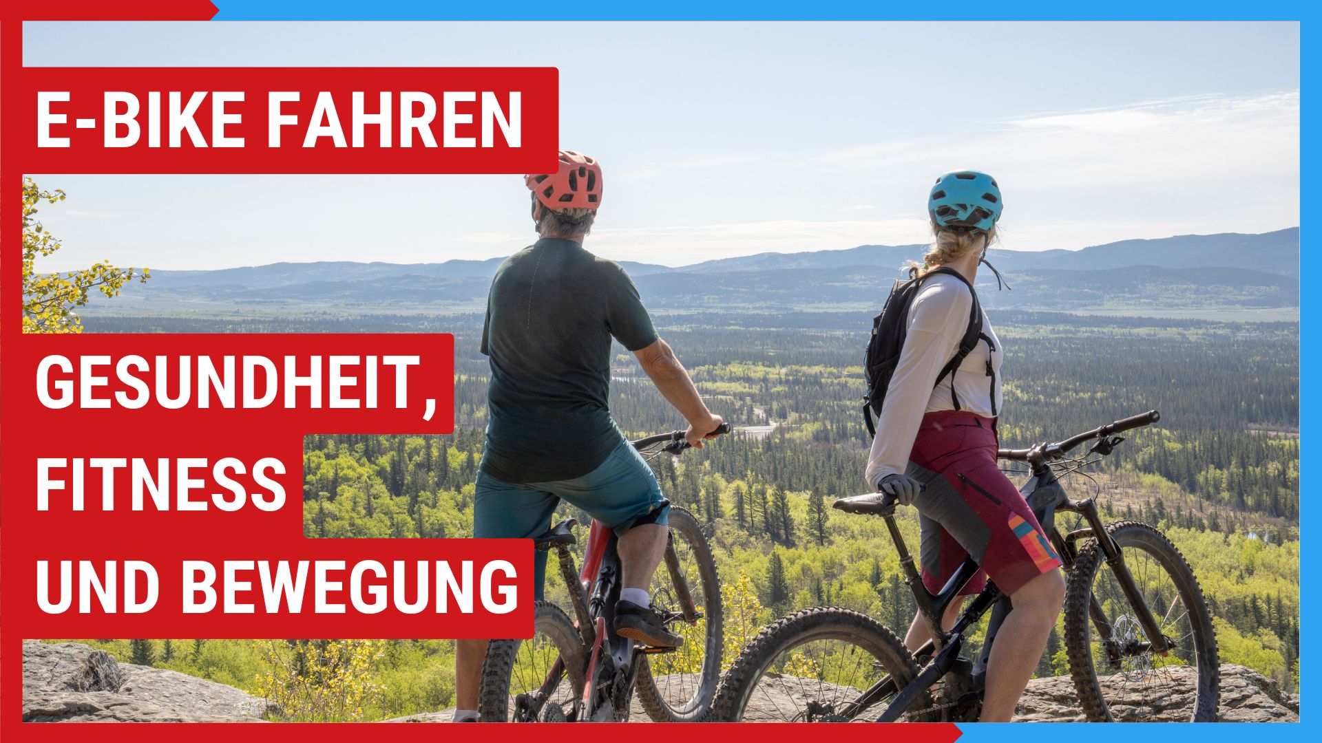 fahrradanhänger intersport Hamax Venture | Venture Holz Shimano HB-TX505 - QR - Centerlock Prophete E Bike Motor, Metallring:20 cm
